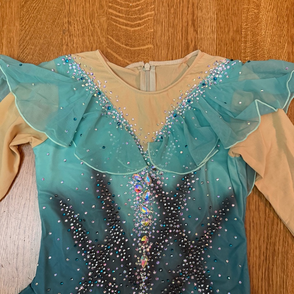 Figure Skating Customized Dress Teal Aqua Ombré Rhinestone Stoned Long Sleeve XS - Picture 3 of 17